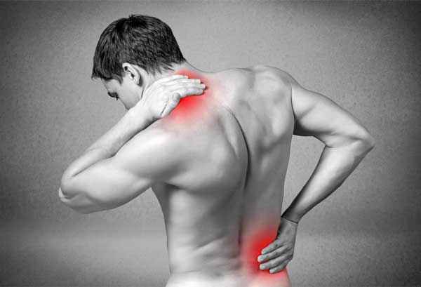 Highlighed muscle pain locations